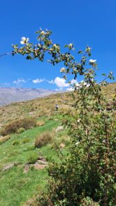 Wanderung entlang eines Bewässerungsgrabens im Nationalpark Sierra Nevada, Alpujarra