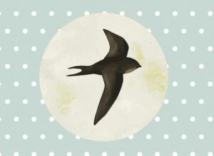 Poesie und Qigong, Illustration fliegende Schwalbe vorm Vollmond