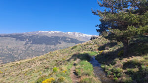 Foto Wanderweg Acequia mit Blick auf die hohe Sierra