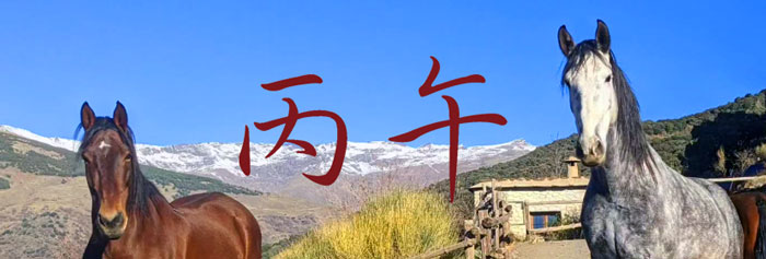 Foto 2 Pferde vor der schneebedeckten Sierra Nevada in Andalusien, Kaligraphie Feuerpferd © Dallas Love Sierratrails, Bubión